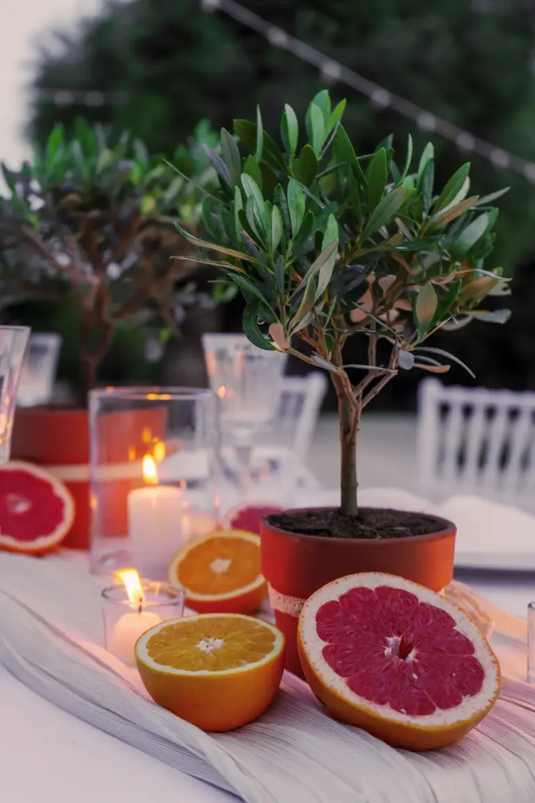 Allestimento di un evento Clorì in Puglia